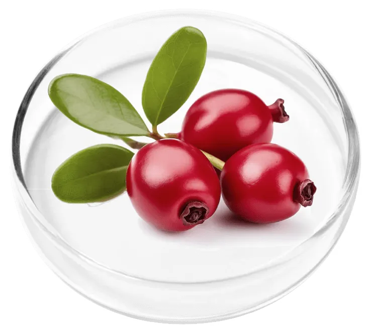 Tart Cherry antioxidant ingredient in FemiPro